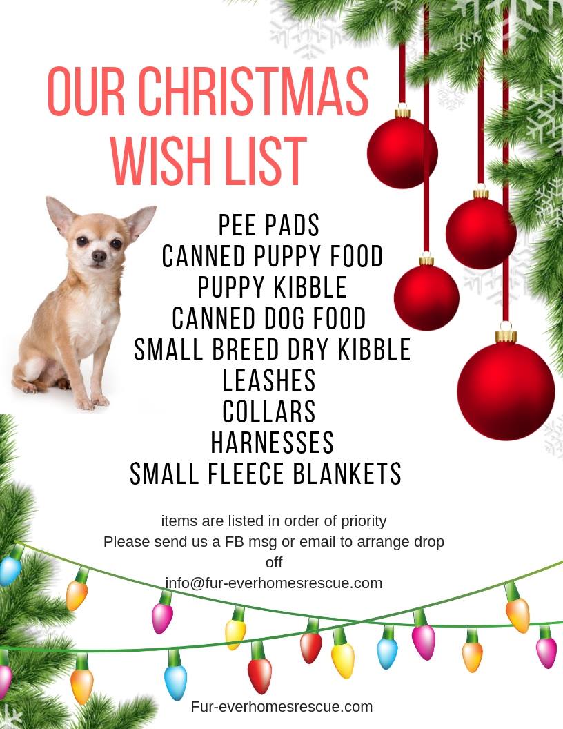 ky开元集团|苏若禹称下场复出 李春江:总决赛学费交的值得(图2) KY开元集团官网