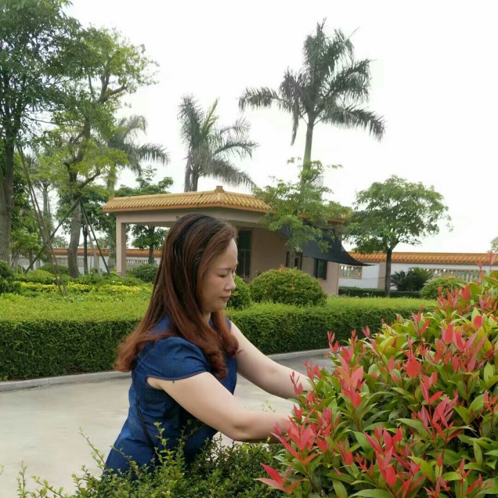 【ky开元】关于召开2017年中国三对三篮球联赛工作会议的通知(图1) ky开元