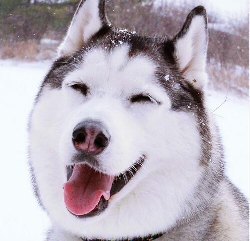 大唐集团出售一家盈利中的电厂股权“KY开元集团官网”(图1) KY开元集团官网