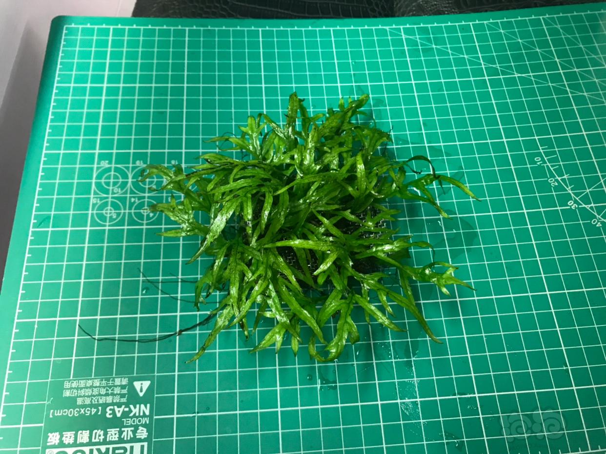 【开元ky】我国能源消费量增速创新高非化石能源15%目标将完成(图1) KY开元集团官网