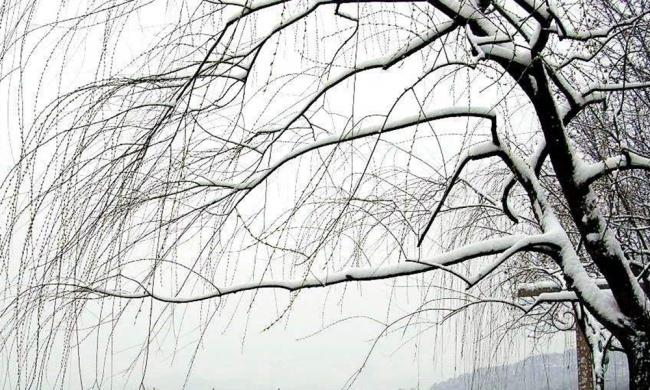 一季度数据透露中国经济发展六大趋势‘开元ky’(图1) ky开元集团