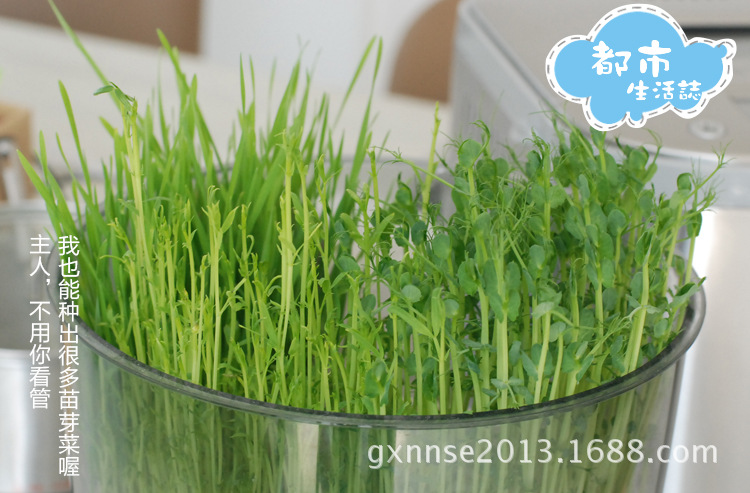 ky开元_关于2016年李宁全国篮球青年联赛男子组第二阶段北京赛区的补充通知(图4) 开元ky