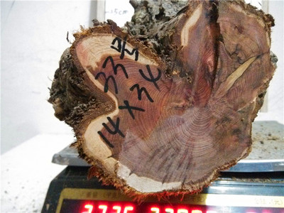 KY开元集团官网