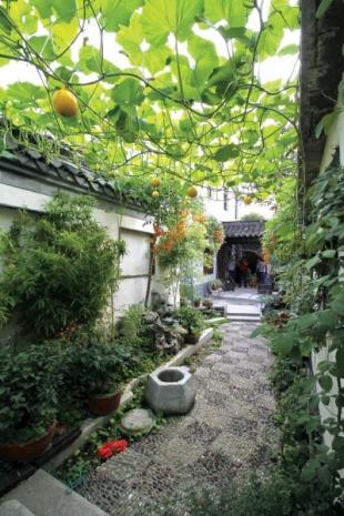 ky开元集团